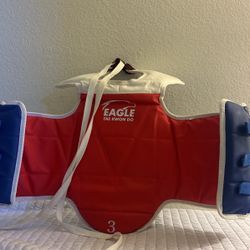 Taekwondo Sparring Gear
