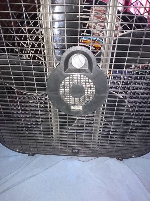 Holmes box fan
