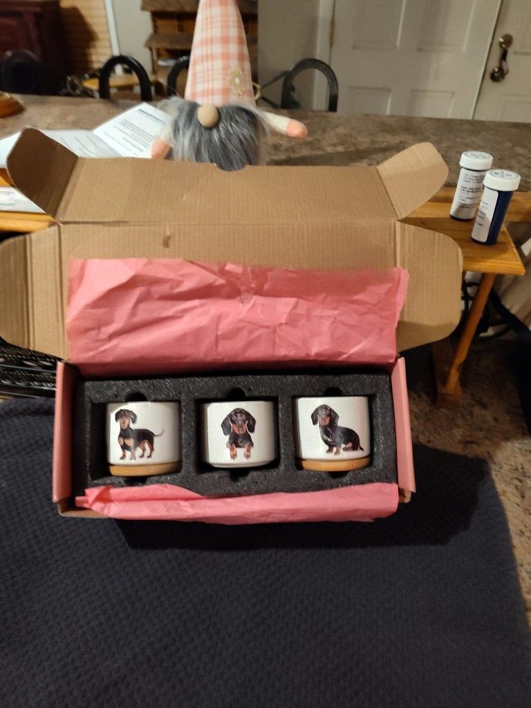 Planter Pots Gift Set
