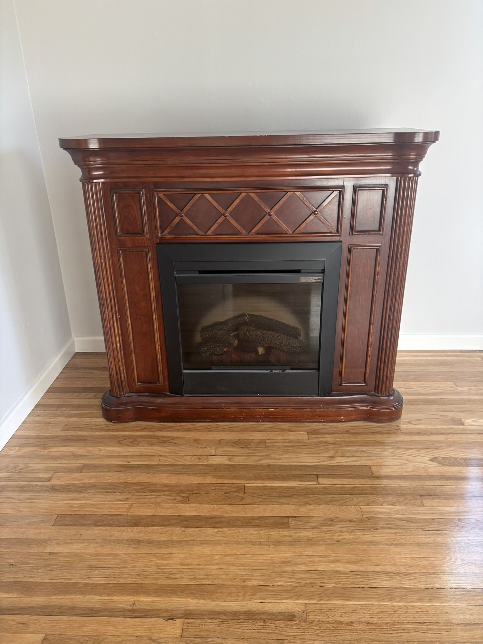 Dimplex Electric fireplace Works Good