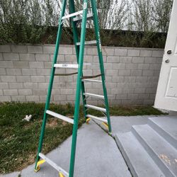 8 Ft. Ladder
