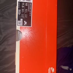 Nike Dunks Stranger Things