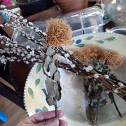 Real Dry Flowers