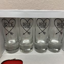 Bride Tribe Shot Glasses 