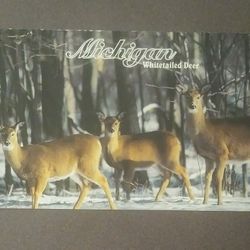 Whitetailed Deer Michigan Animal Scenic Perrin Unused Vintage Collectible Postcard Post Card RPPC PC