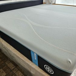 Mattress And Box Spring Size King 