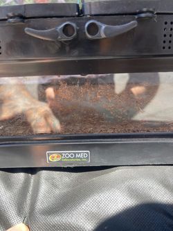40 gallon Reptihabitat Double Doors Terrarium 36"x 18" x 18"