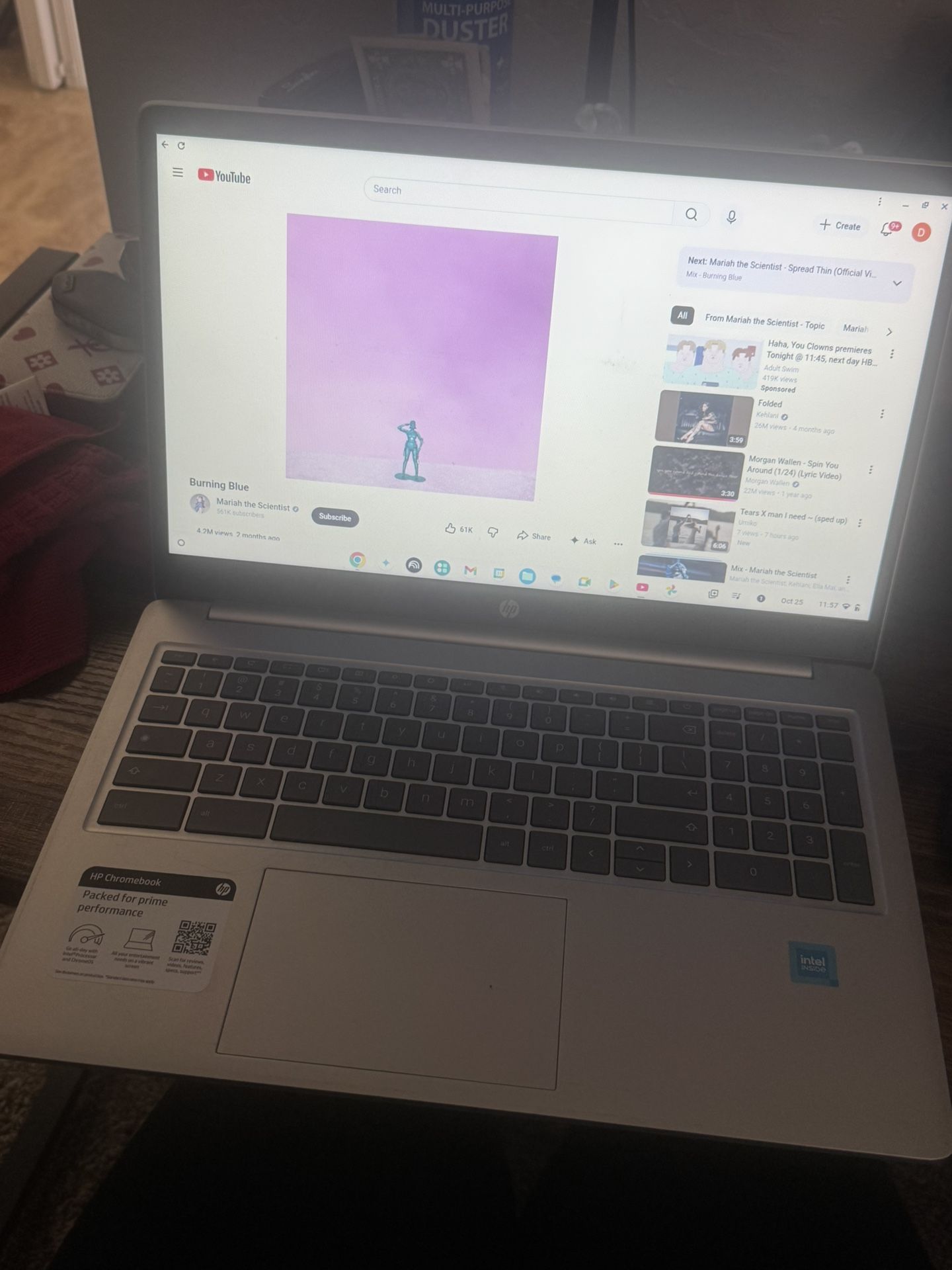 HP CHROMEBOOK 
