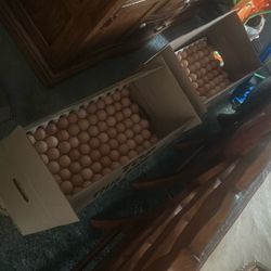 5$ A Dozen