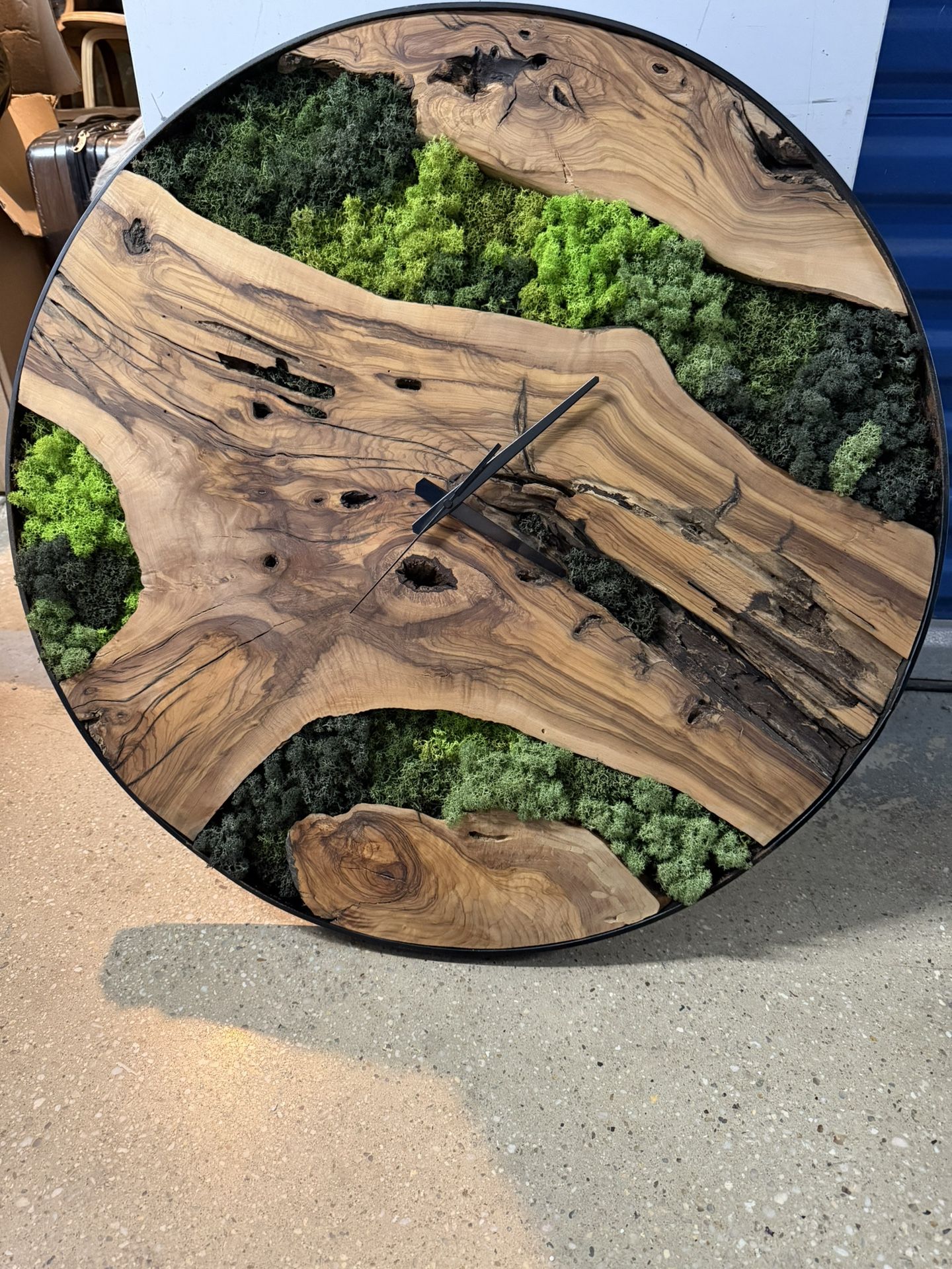 Preserved Moss Clock