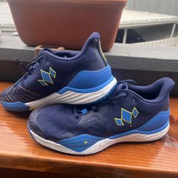 Pickleball Shoes/Adidas Ultraboot 