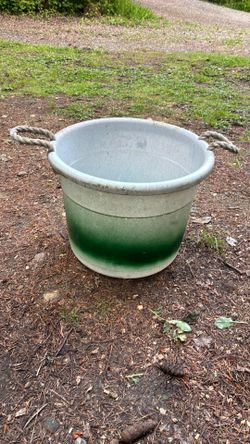 Free Bin
