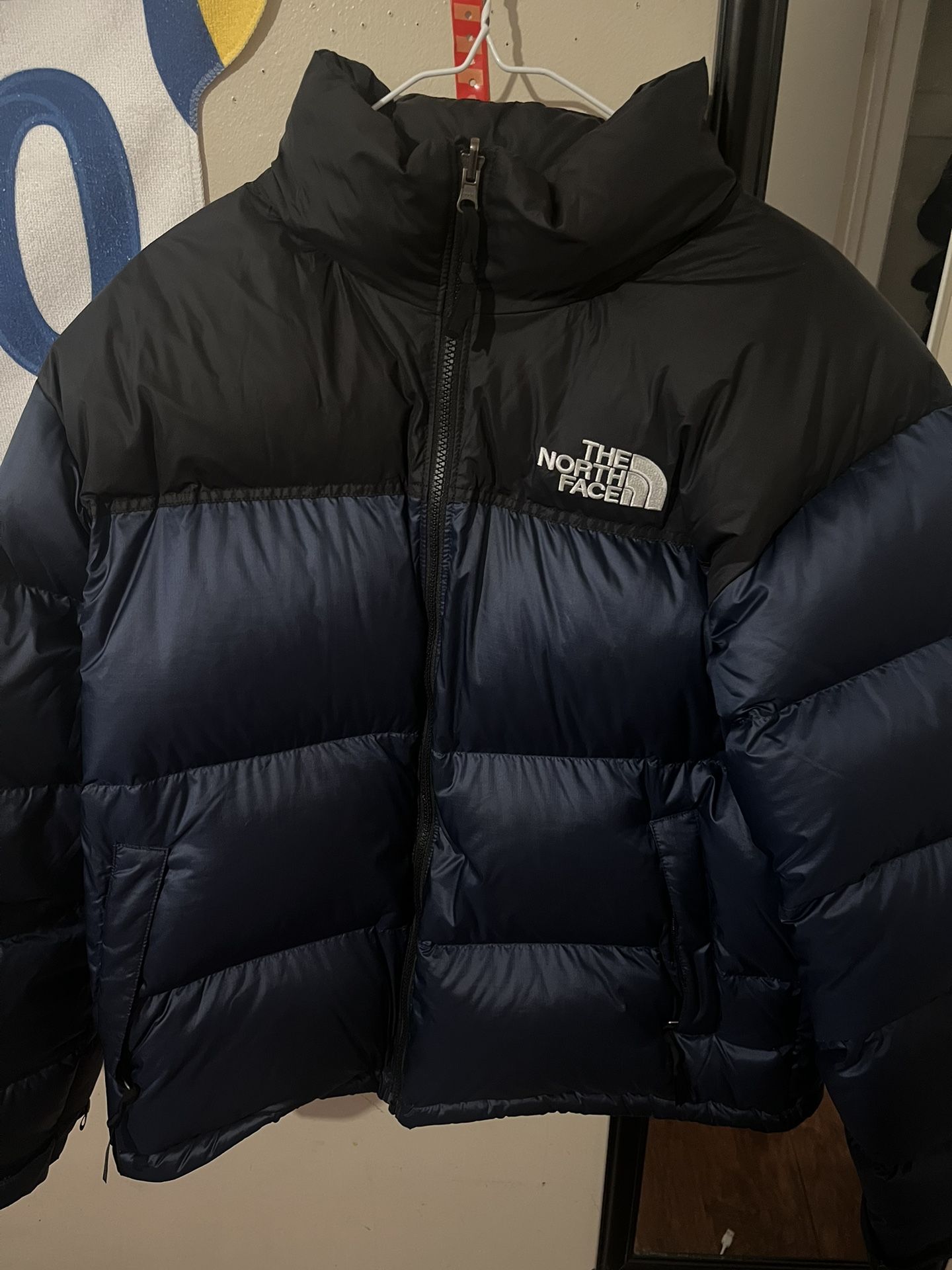 The north face 1996 Retro Nuptse 700 Jacket 