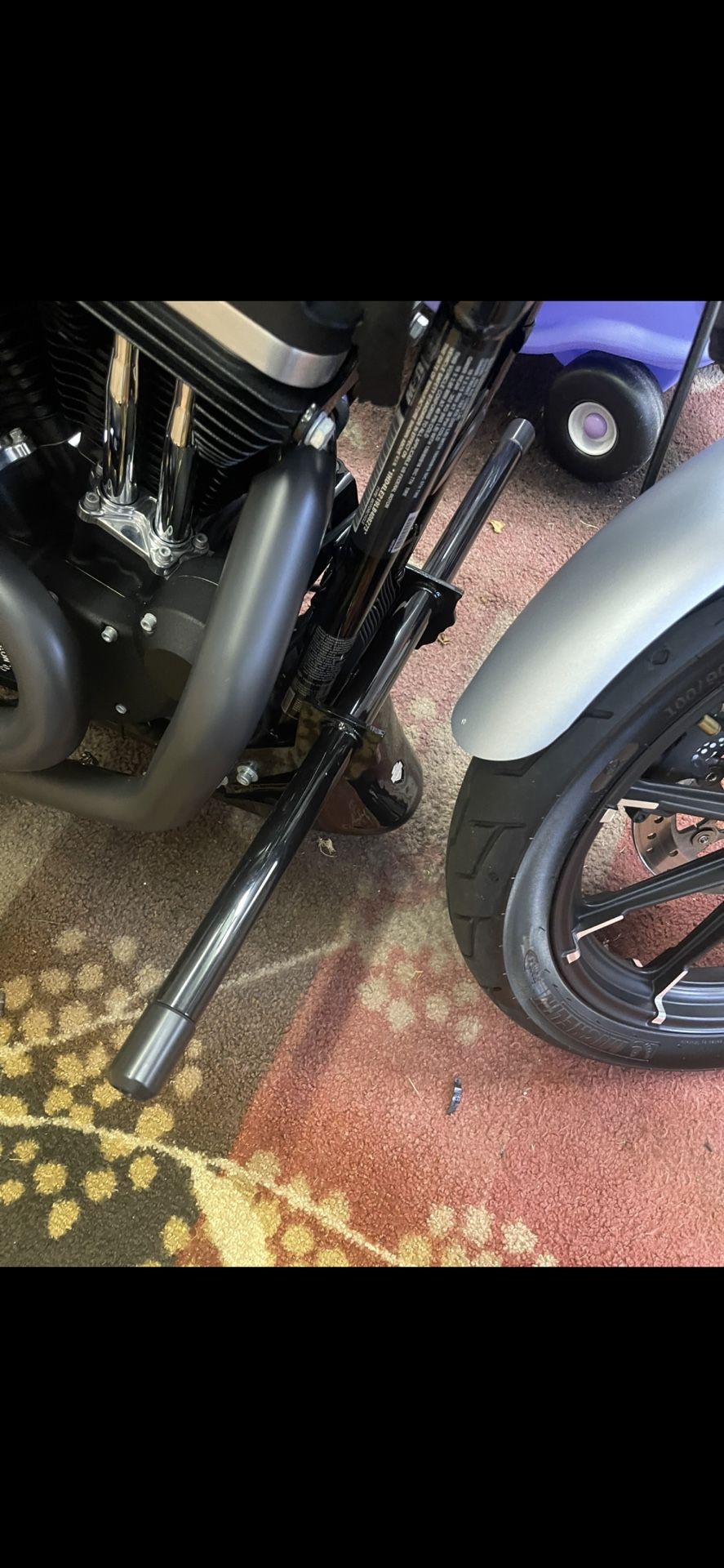 2020 Iron 883 Harley Davison