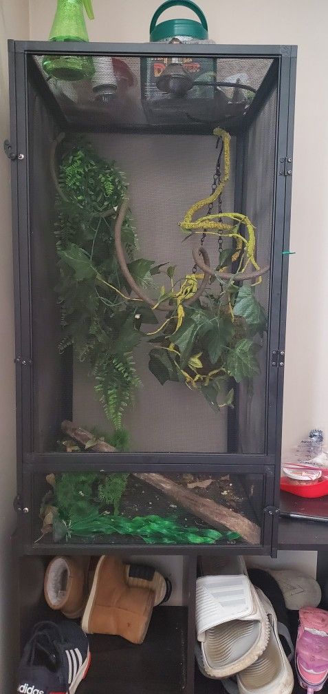 Reptile Cage
