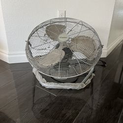 Fan