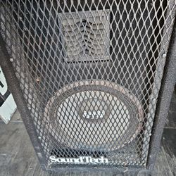 SoundTech 12" Speaker