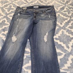 Plus Size Jean Capri