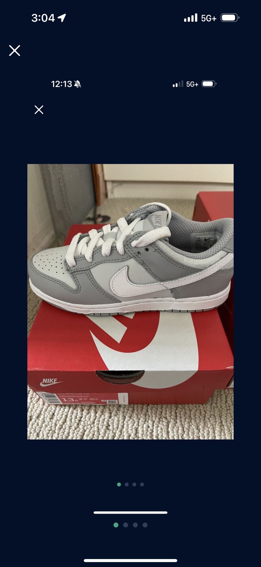Nike Dunk Wolf Grey Size 13C