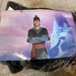 Adult Frozen Costume