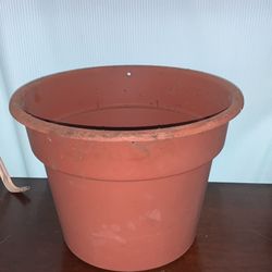 Flower Pot 