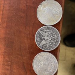 Silver Dollar Coin