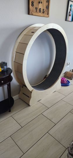 Cat exercise wheel