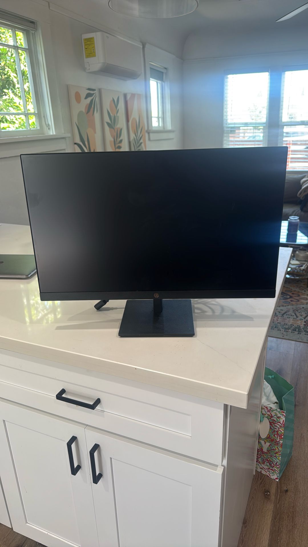 HP  Computer Monitor