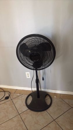 Fan
