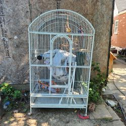 Xl Bird Cage