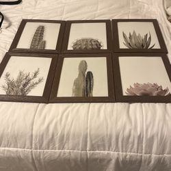 Cuadros para decoracion