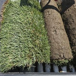 Sod For Sale