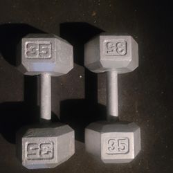 35lbs Dumbells Weights