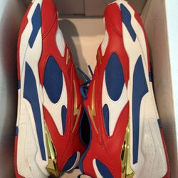 Puma 12