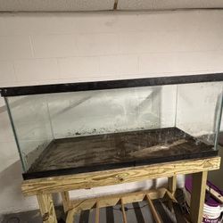 75 Gallon Tank
