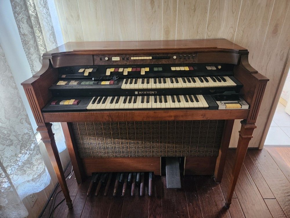 Organ