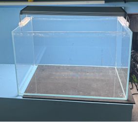 Aquarium,fish tank,pecera,acuario