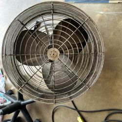 Schaefer Shop Fan 