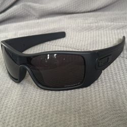 Batwolf Polarized Prizm 