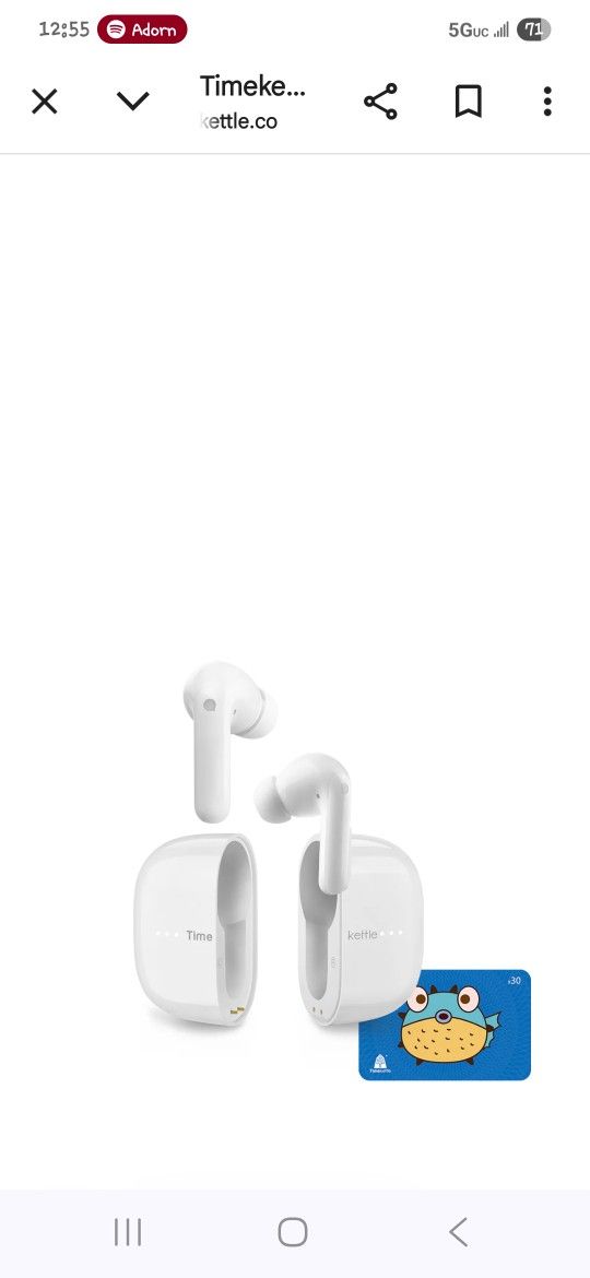 Timekettle M3