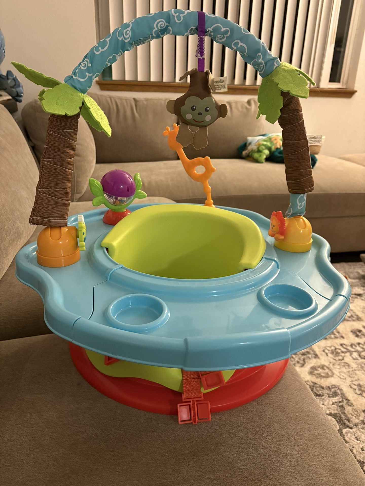 Activity Booster Seat