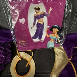 Princess Jasmine Costume