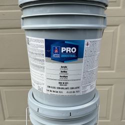 Paint- Interior/Exterior Acrylic Semi Gloss Enamel 