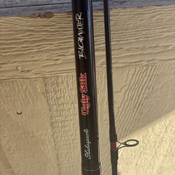 Ugly Stik BigWater