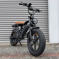 Electric Bike