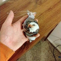 Hanging Bald Eagle Ornament
