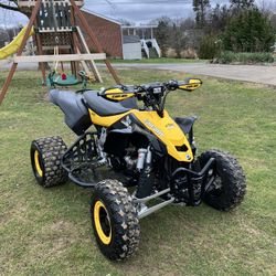 Can Am DS 450xc