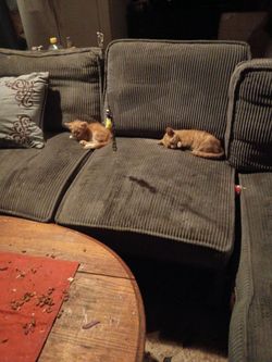 Love seat