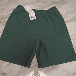 Burberry Shorts (Brand New)