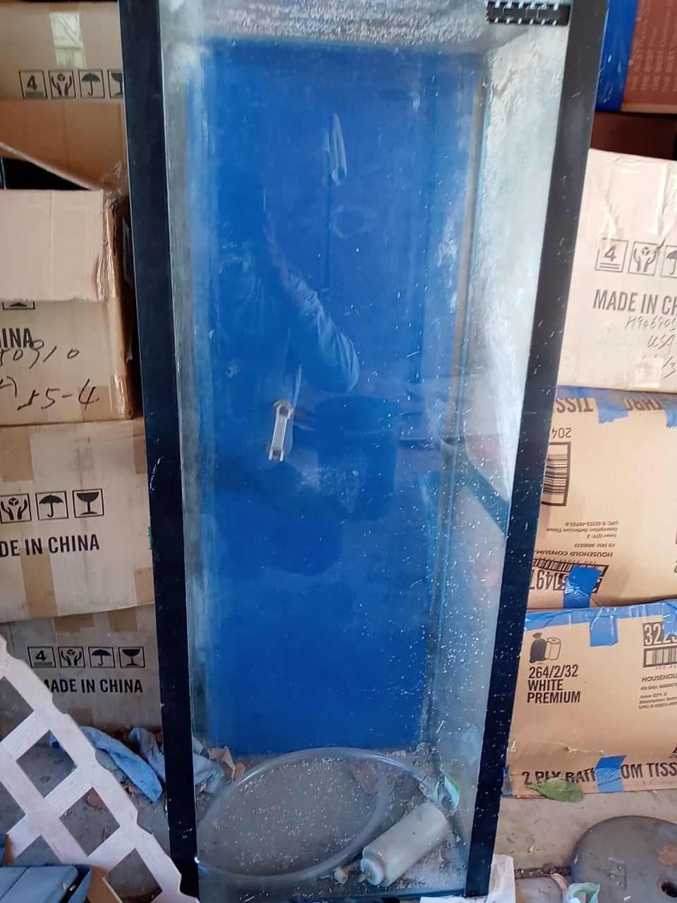 Fish tank 55 gallons